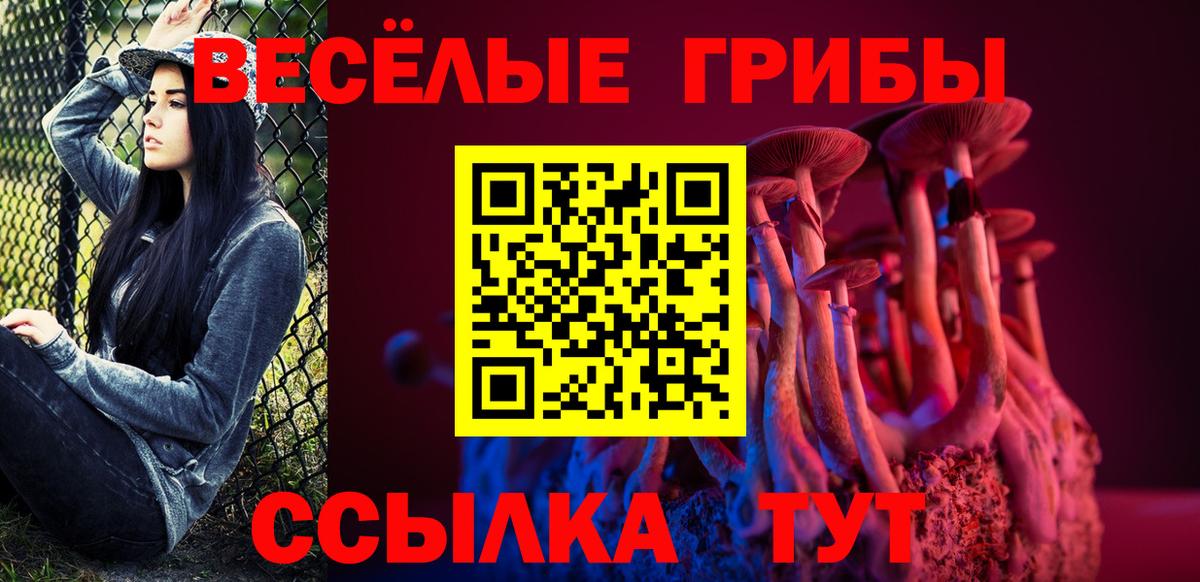 Апрелевка  Псилоцибиновые грибы Psilocybe  Вход с VPN 