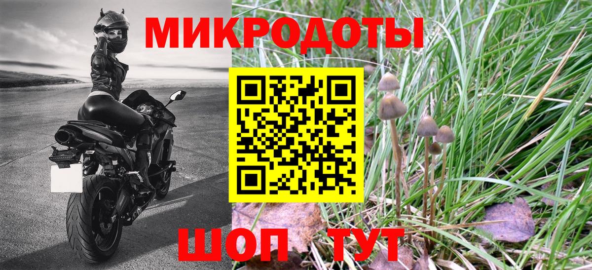 Псилоцибиновые грибы Psilocybine cubensis Апрелевка